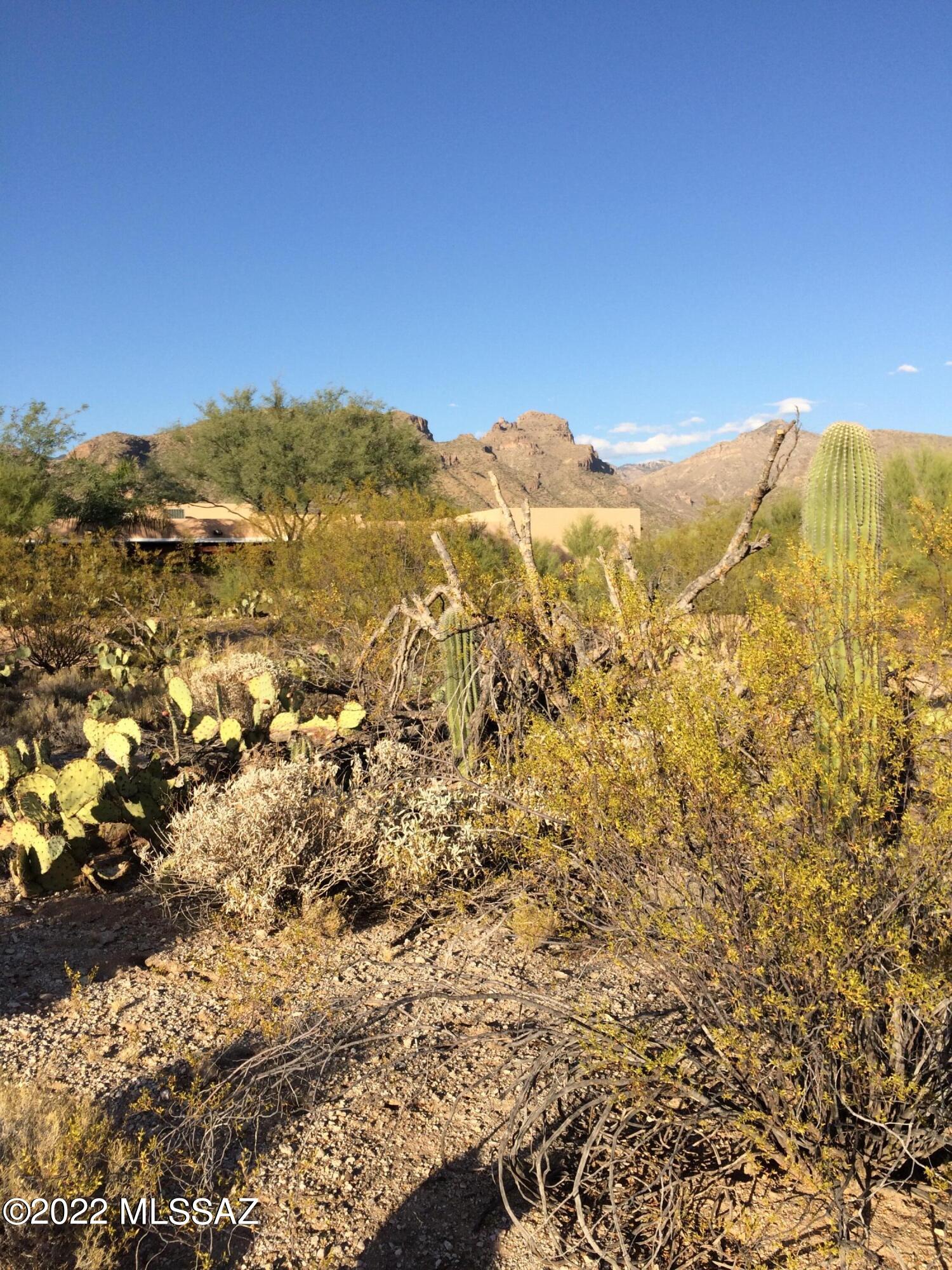 Castle Rock Estates (1-47) - Land
