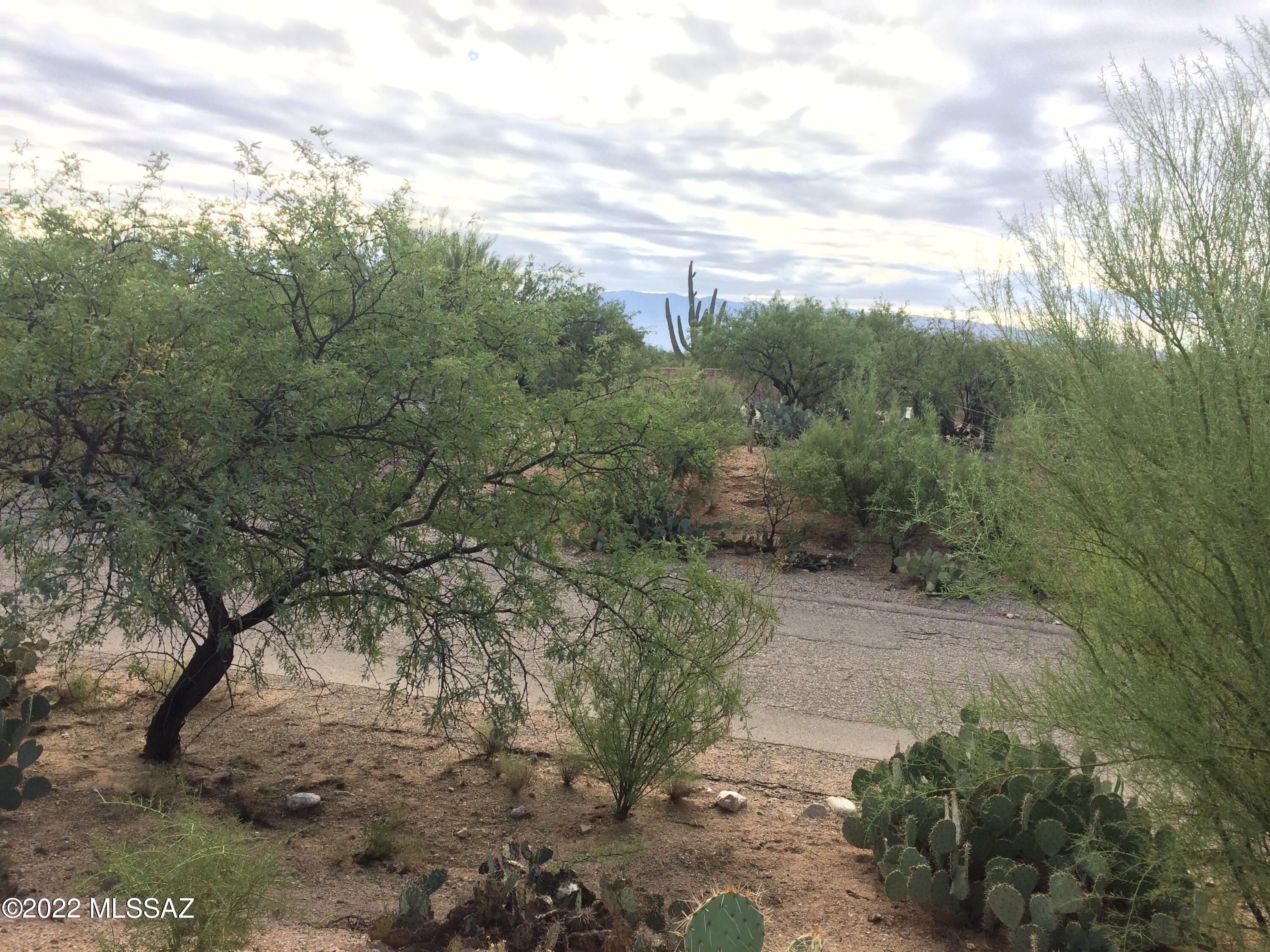 Castle Rock Estates (1-47) - Land