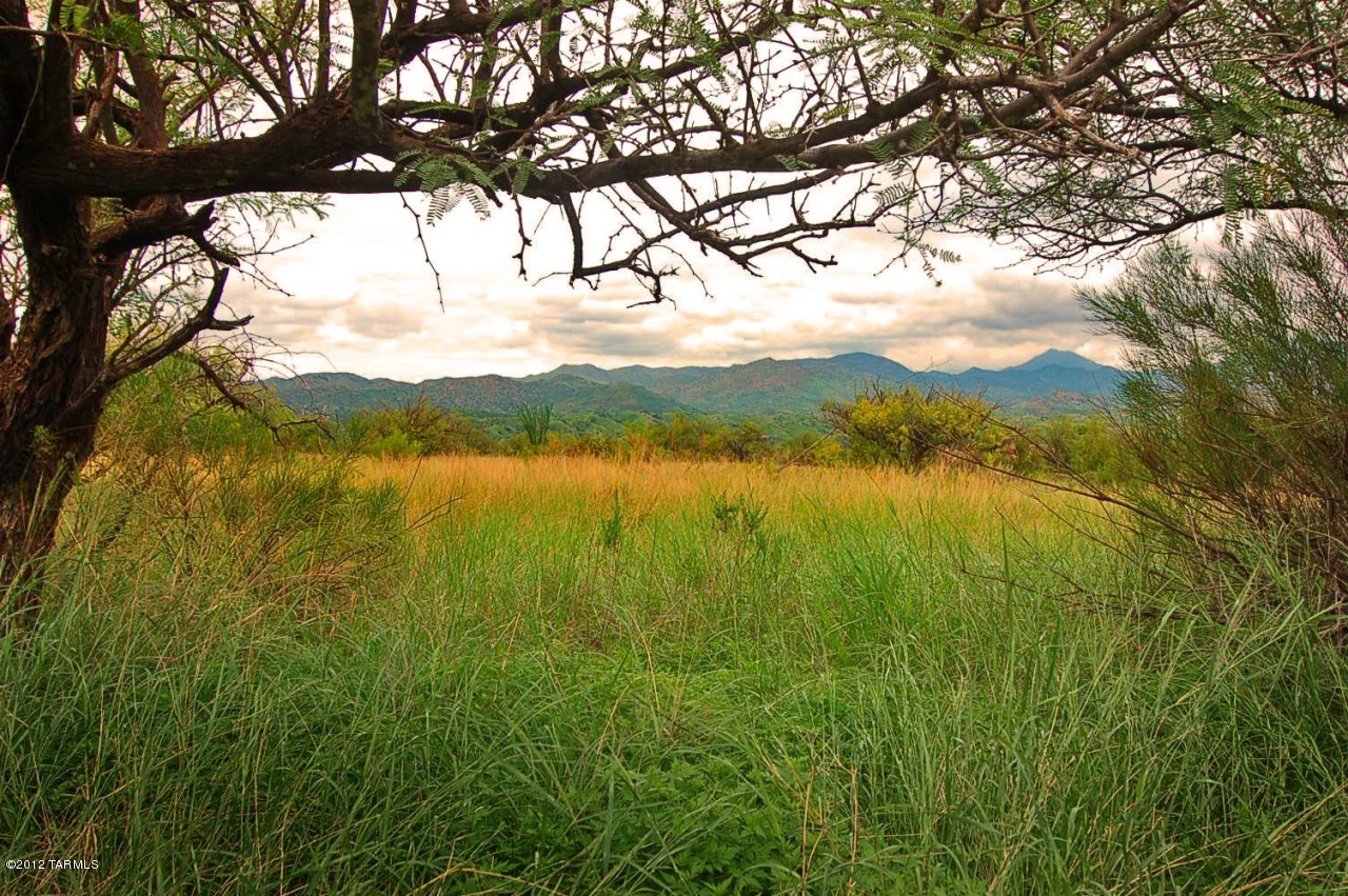 One of The Mesa's most desirable parcels--a gorgeous, grassy, very buildable Sonoran Highland setting w/incomparable views of Mt. Wrightson, the Canelos & the Santa Ritas. The creative, historic village of Patagonia sits below w/its many charms & amenities. You'll delight in The Mesa's private/peaceful atmosphere & diverse wildlife, great neighbors, beautiful homes & famously star-filled evening skies. Great hiking & an easy walk to everything.