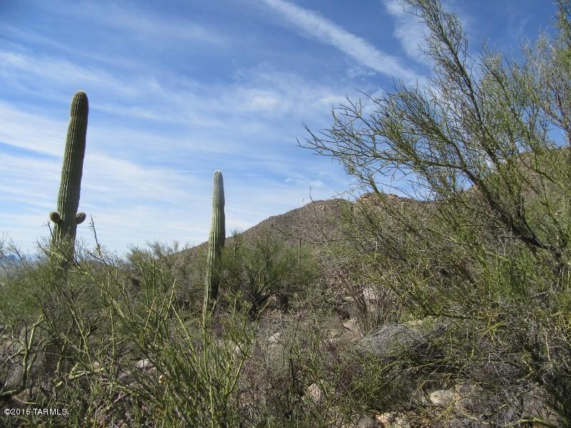 Canyon Pass At Dove Mountain - Land