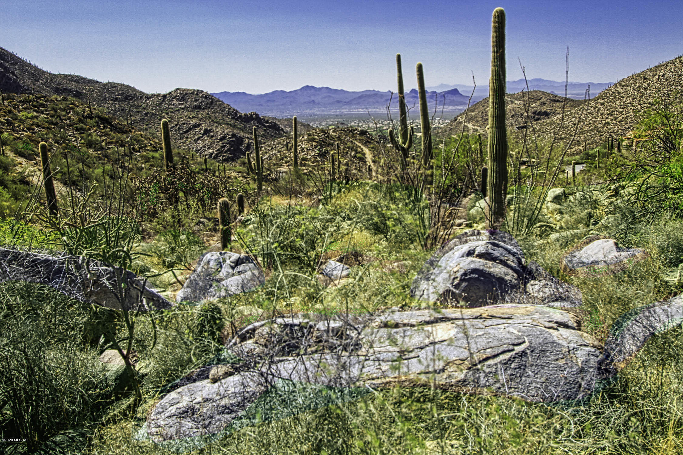Canyon Pass At Dove Mountain - Land