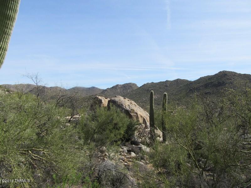 Canyon Pass At Dove Mountain - Land