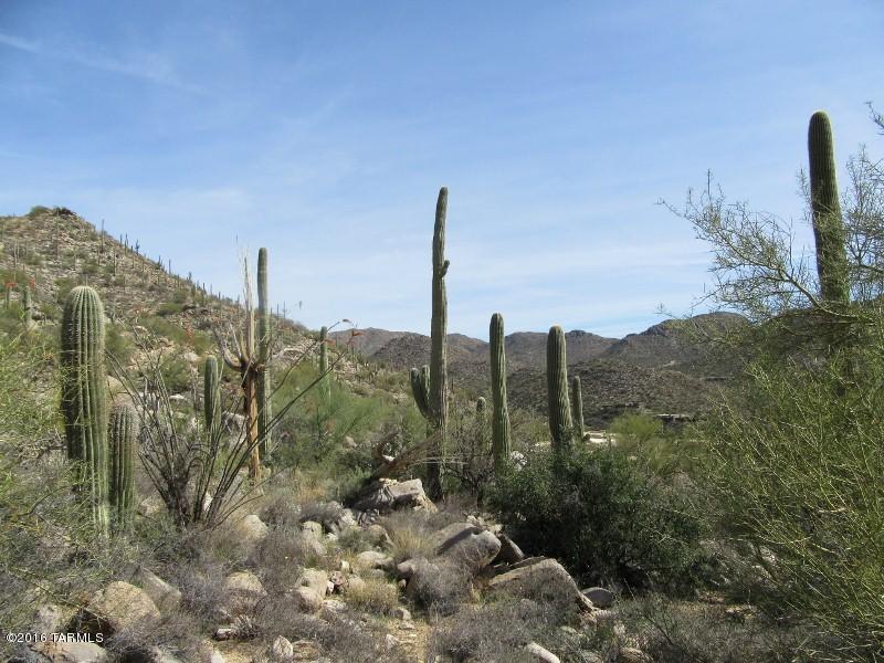 Canyon Pass At Dove Mountain - Land