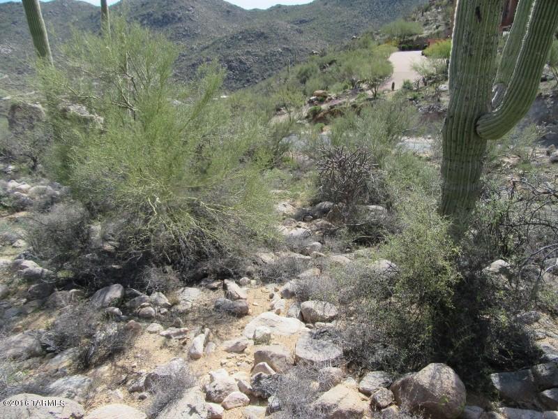 Canyon Pass At Dove Mountain - Land