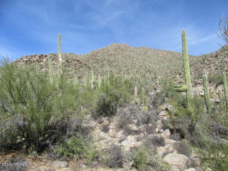 Canyon Pass At Dove Mountain - Land