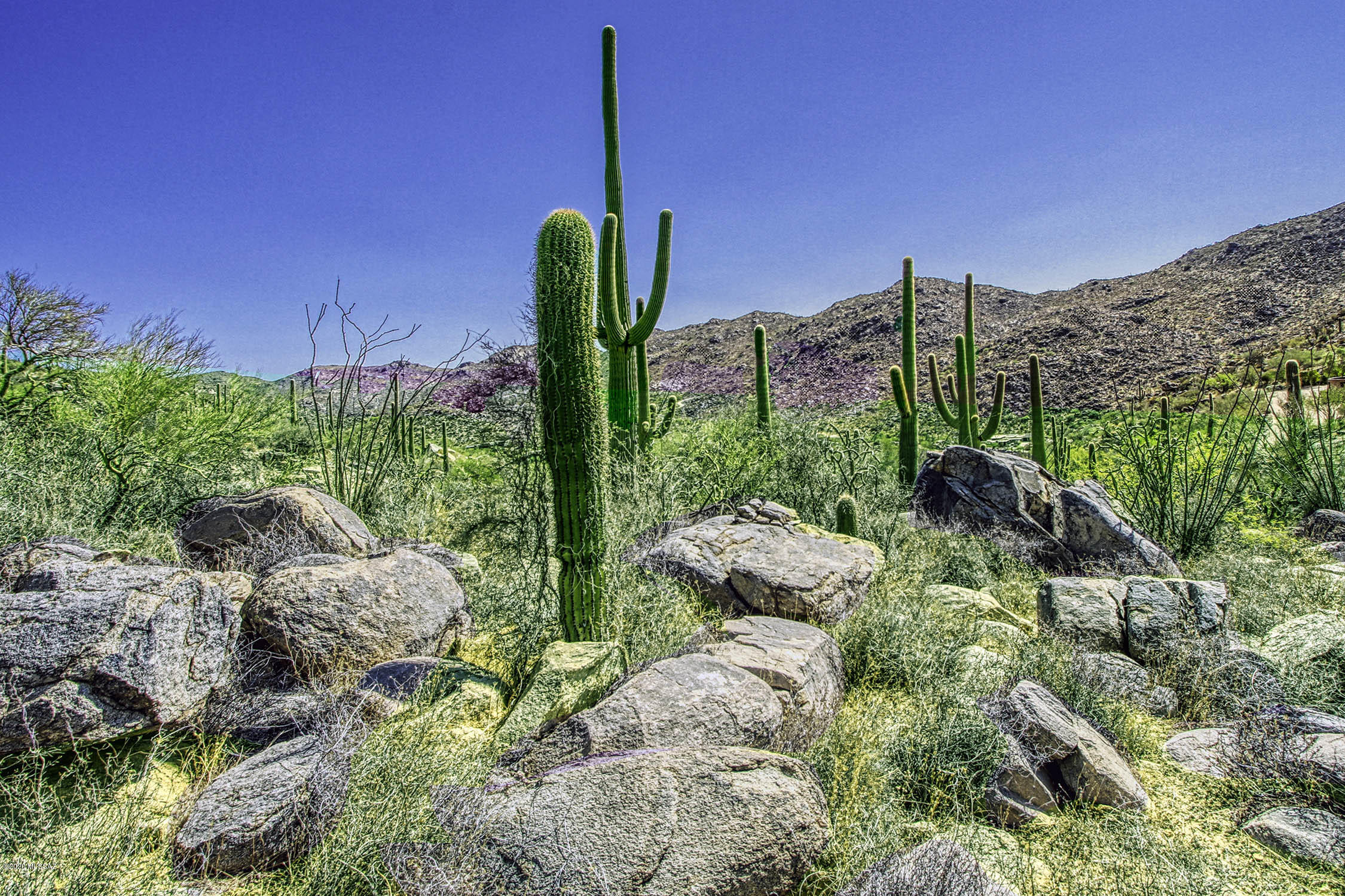 Canyon Pass At Dove Mountain - Land