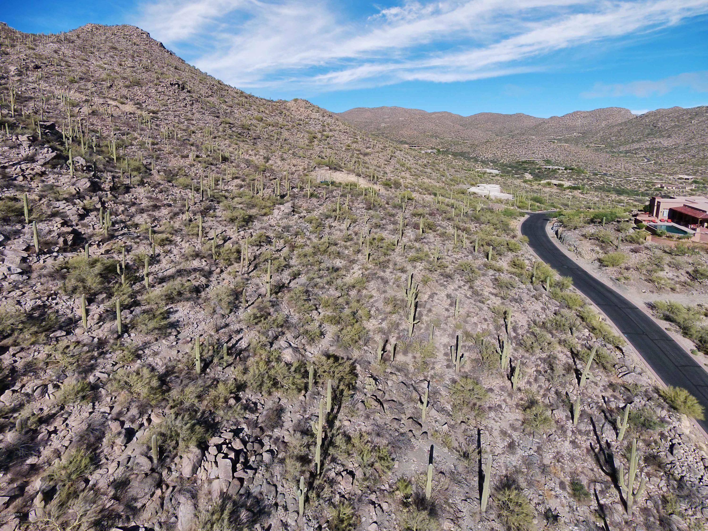 Canyon Pass At Dove Mountain - Land