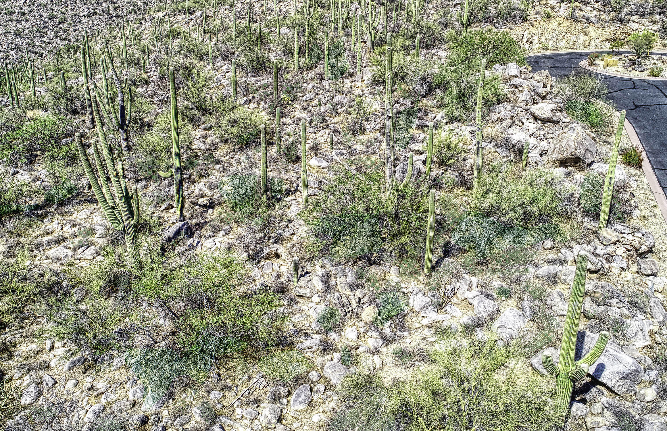 Canyon Pass At Dove Mountain - Land