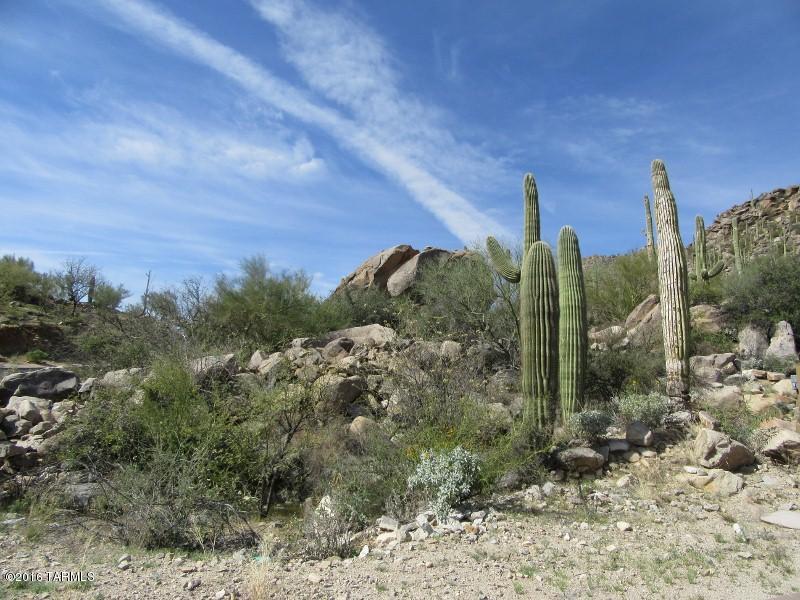 Canyon Pass At Dove Mountain - Land