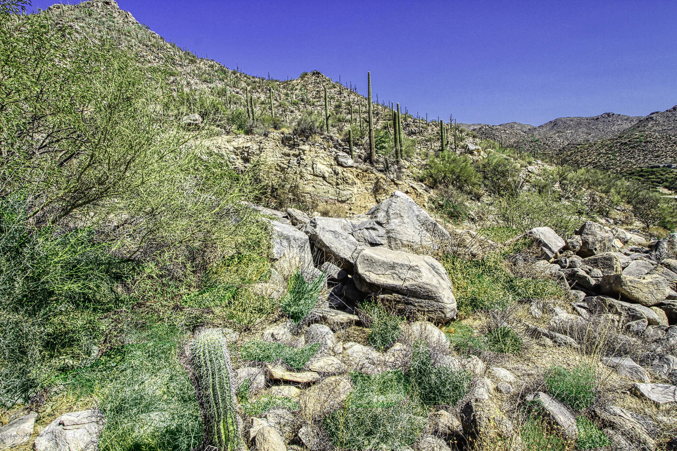 Canyon Pass At Dove Mountain - Land