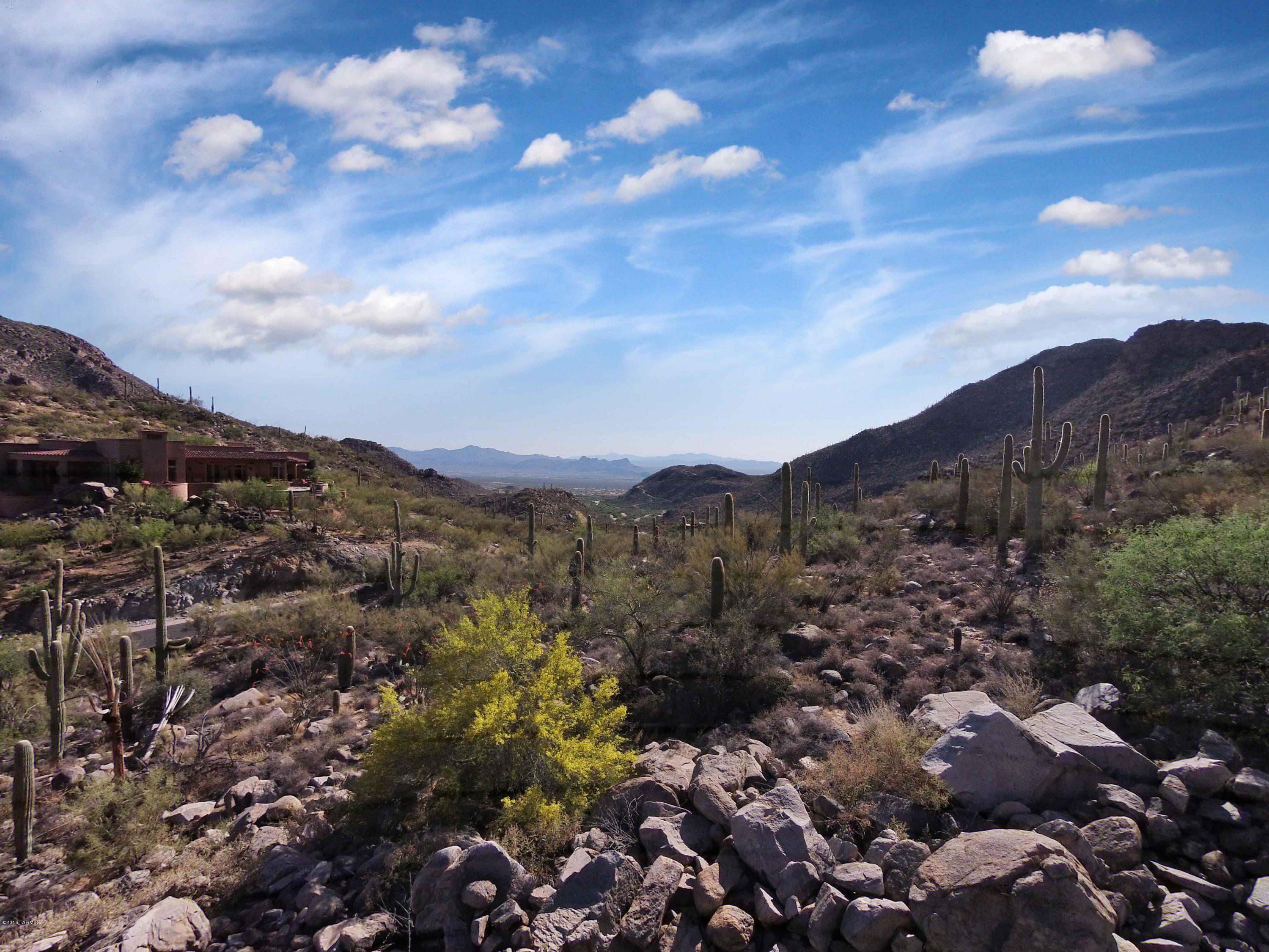 Canyon Pass At Dove Mountain - Land