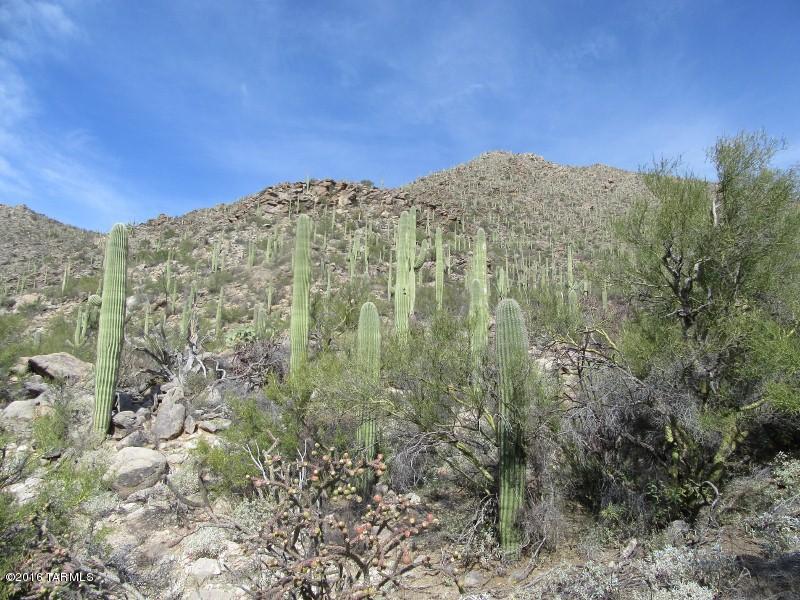 Canyon Pass At Dove Mountain - Land