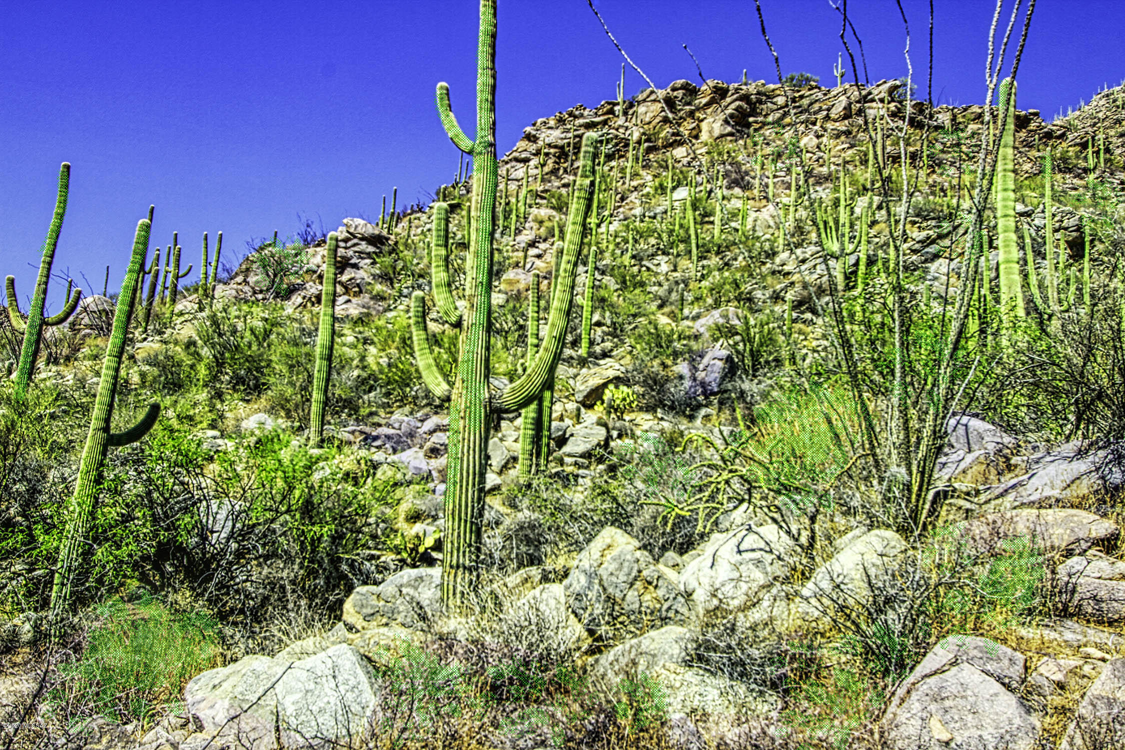 Canyon Pass At Dove Mountain - Land