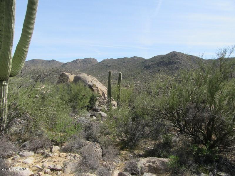 Canyon Pass At Dove Mountain - Land