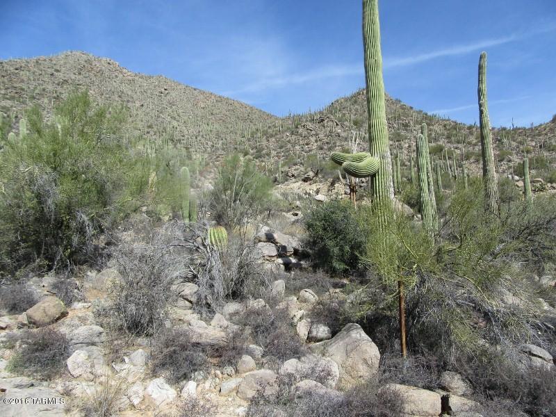 Canyon Pass At Dove Mountain - Land