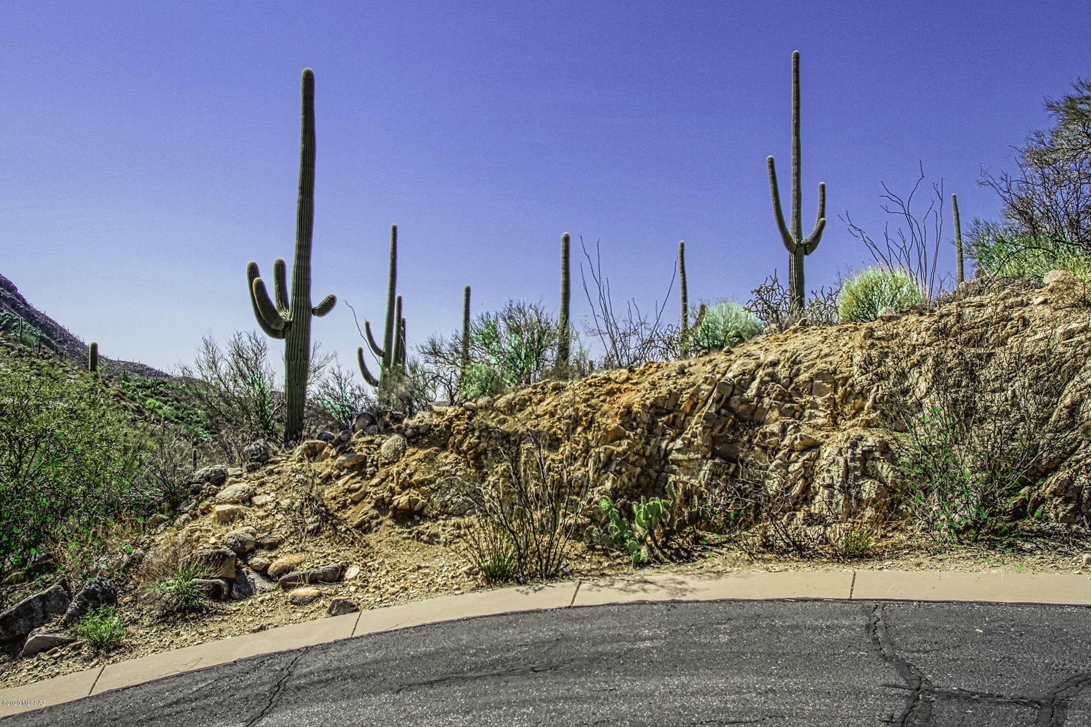 Canyon Pass At Dove Mountain - Land