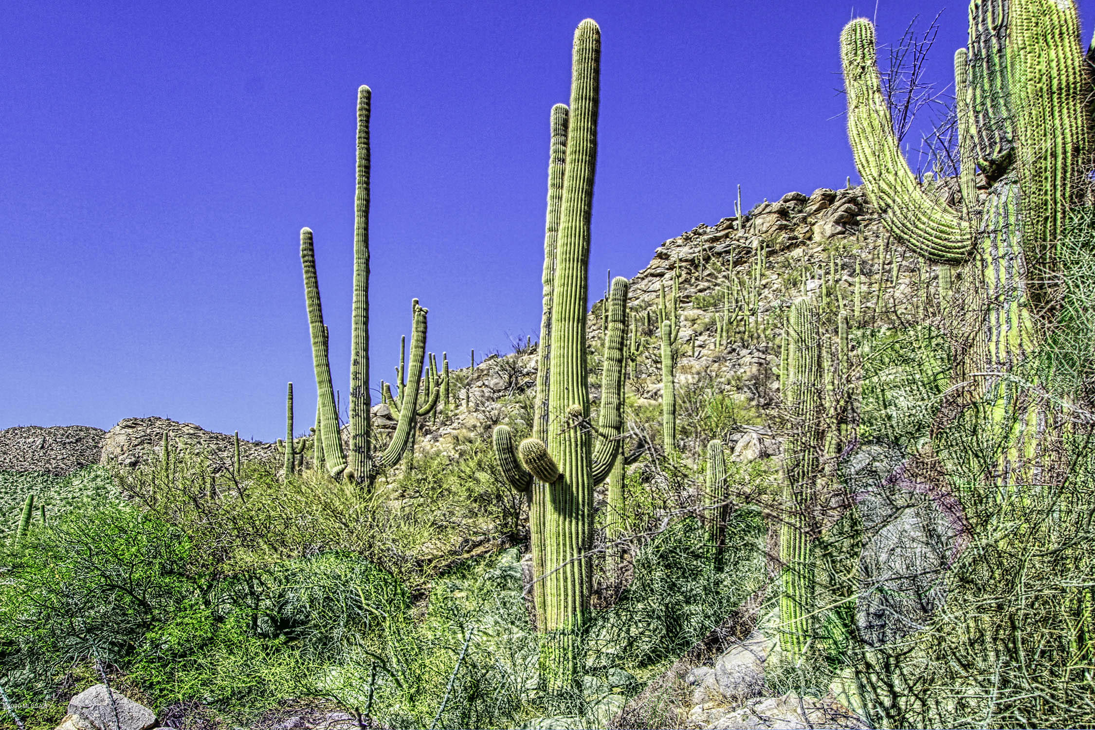 Canyon Pass At Dove Mountain - Land