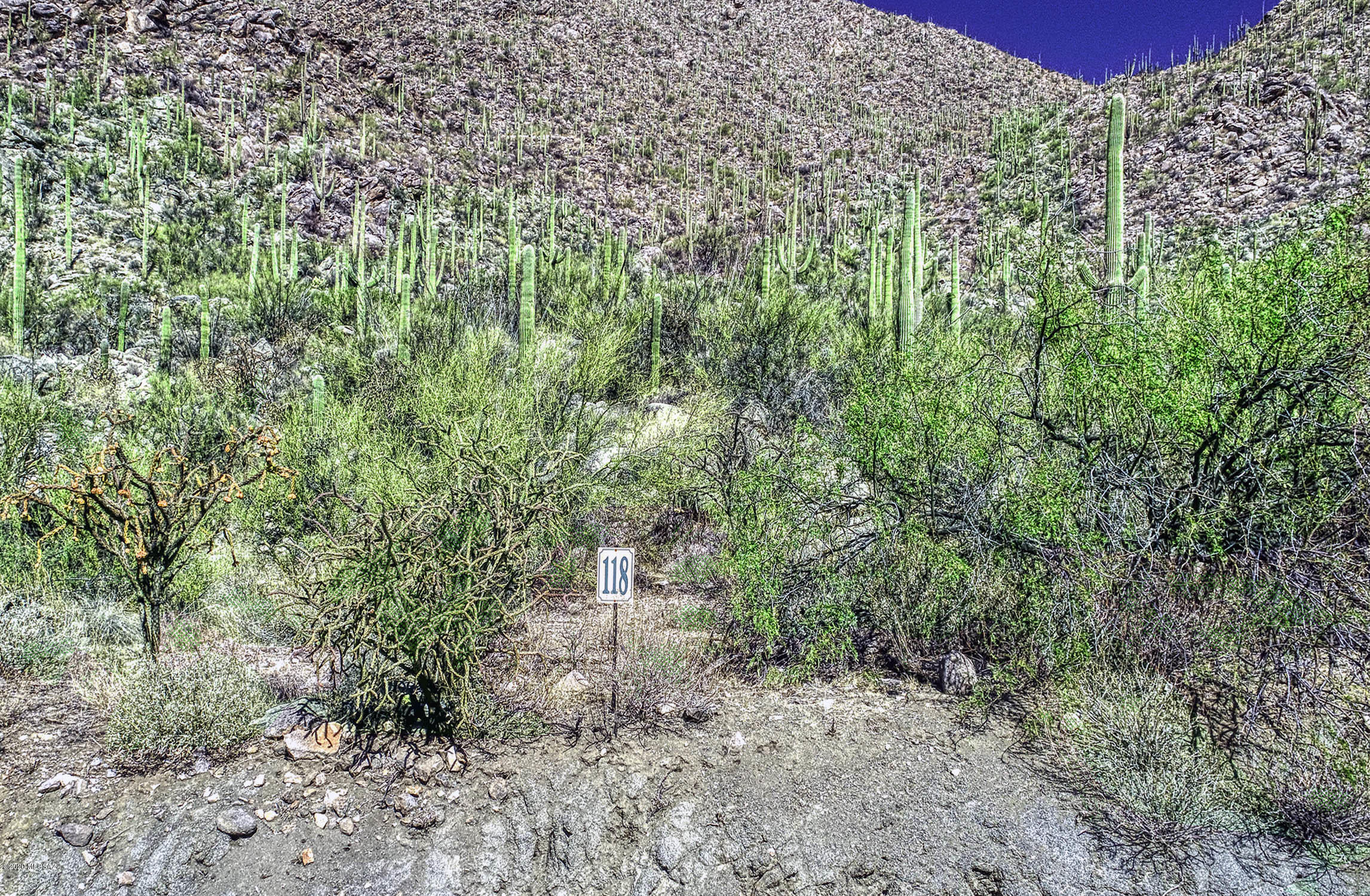 Canyon Pass At Dove Mountain - Land