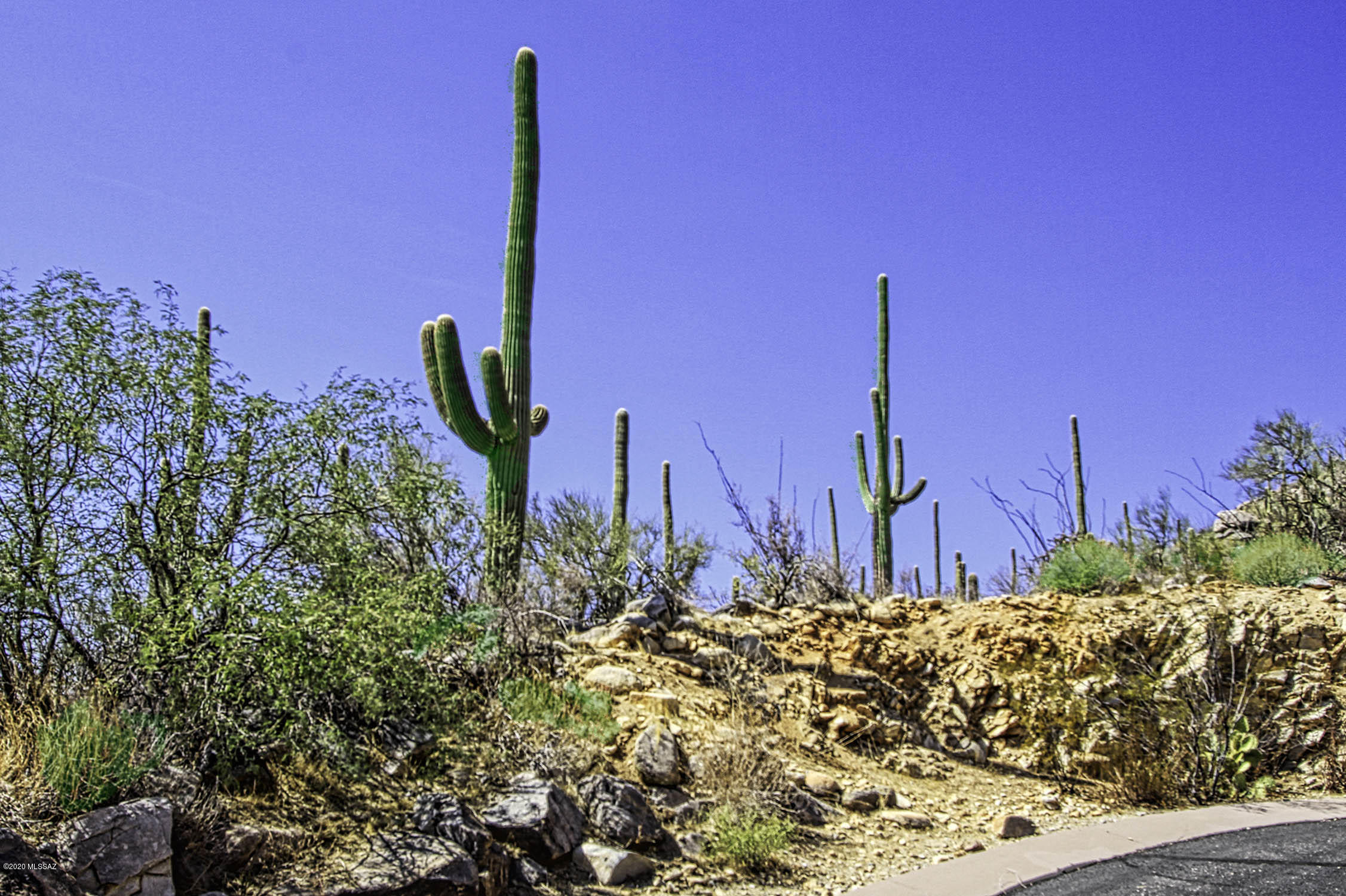 Canyon Pass At Dove Mountain - Land