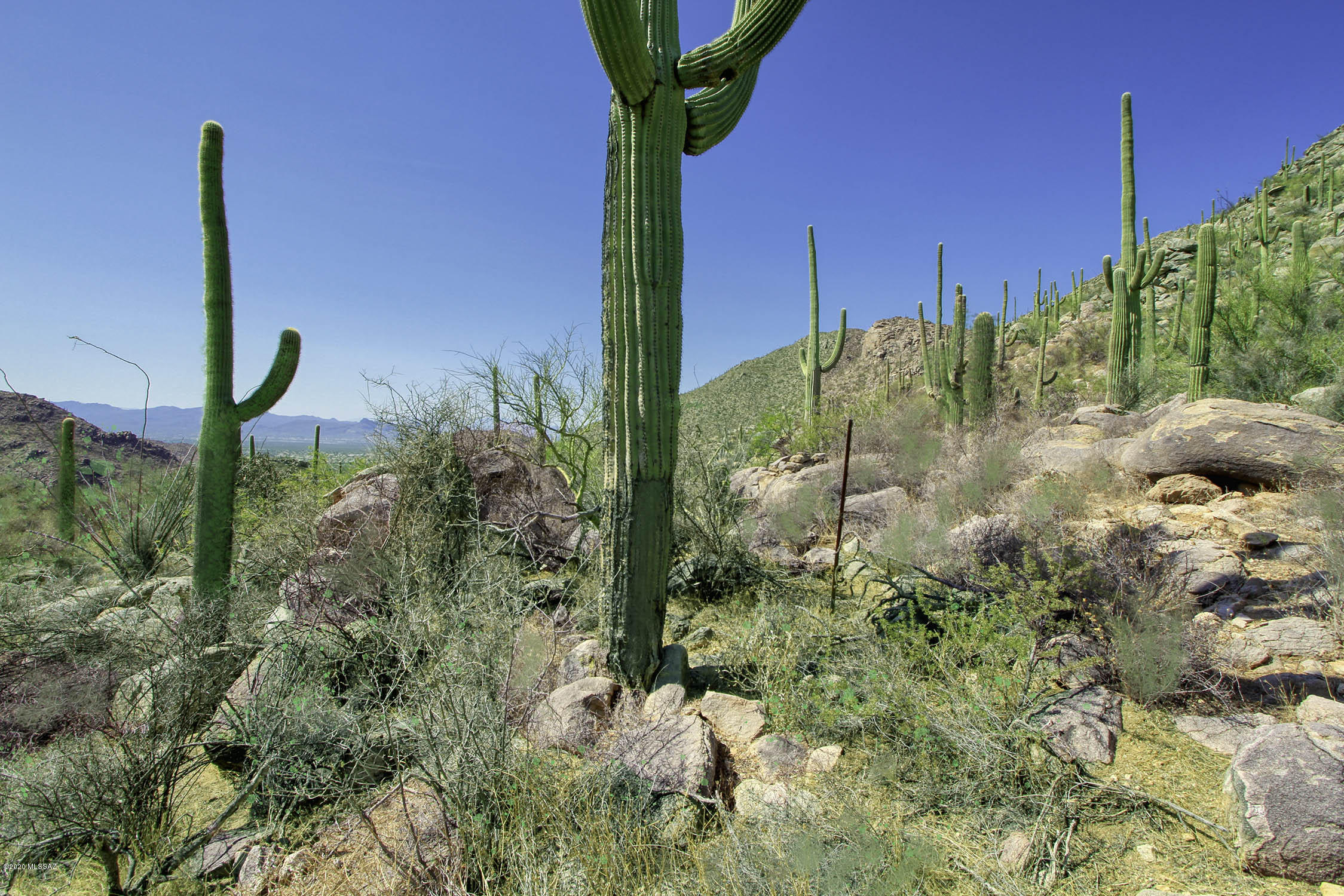 Canyon Pass At Dove Mountain - Land