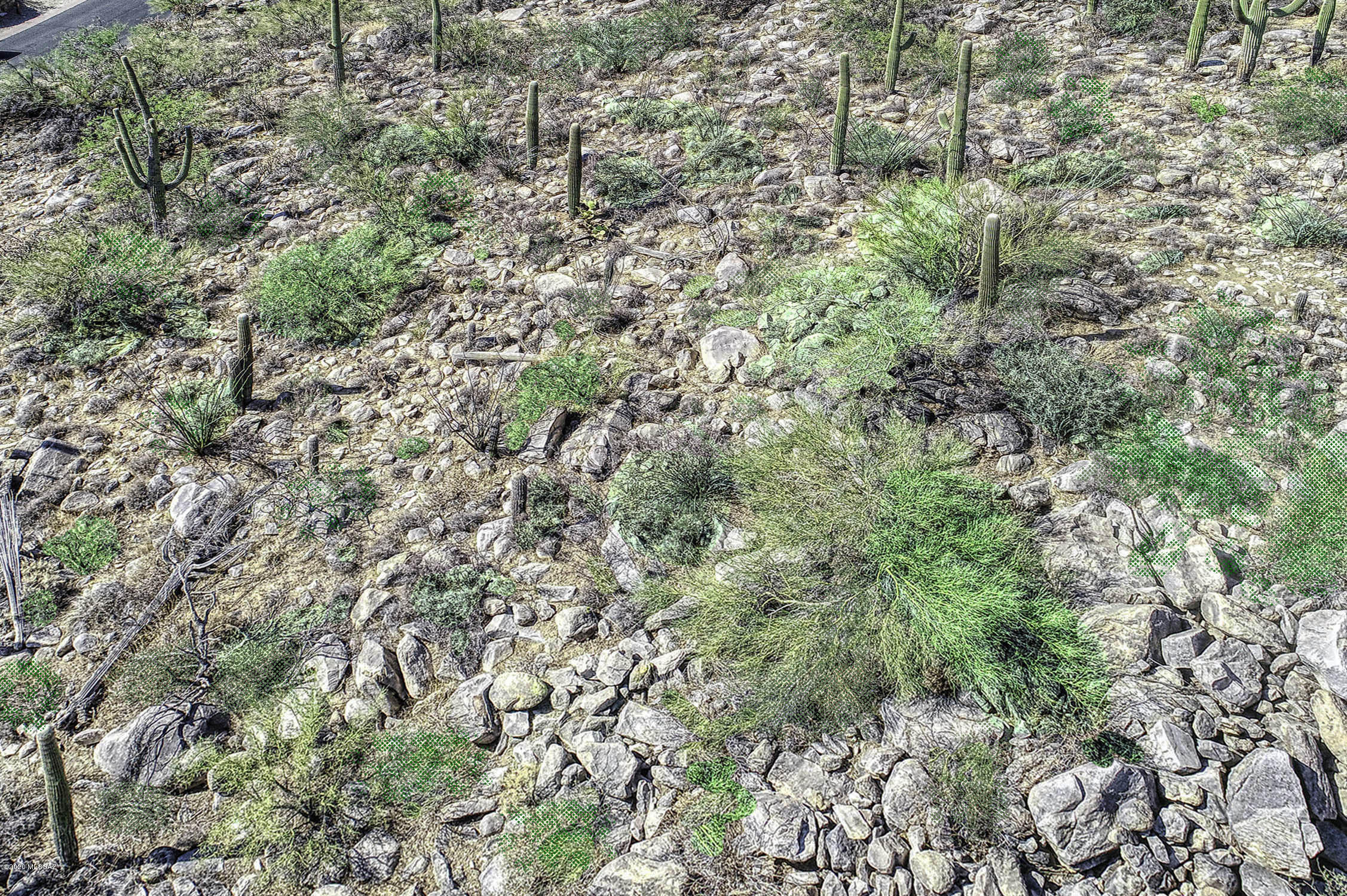 Canyon Pass At Dove Mountain - Land