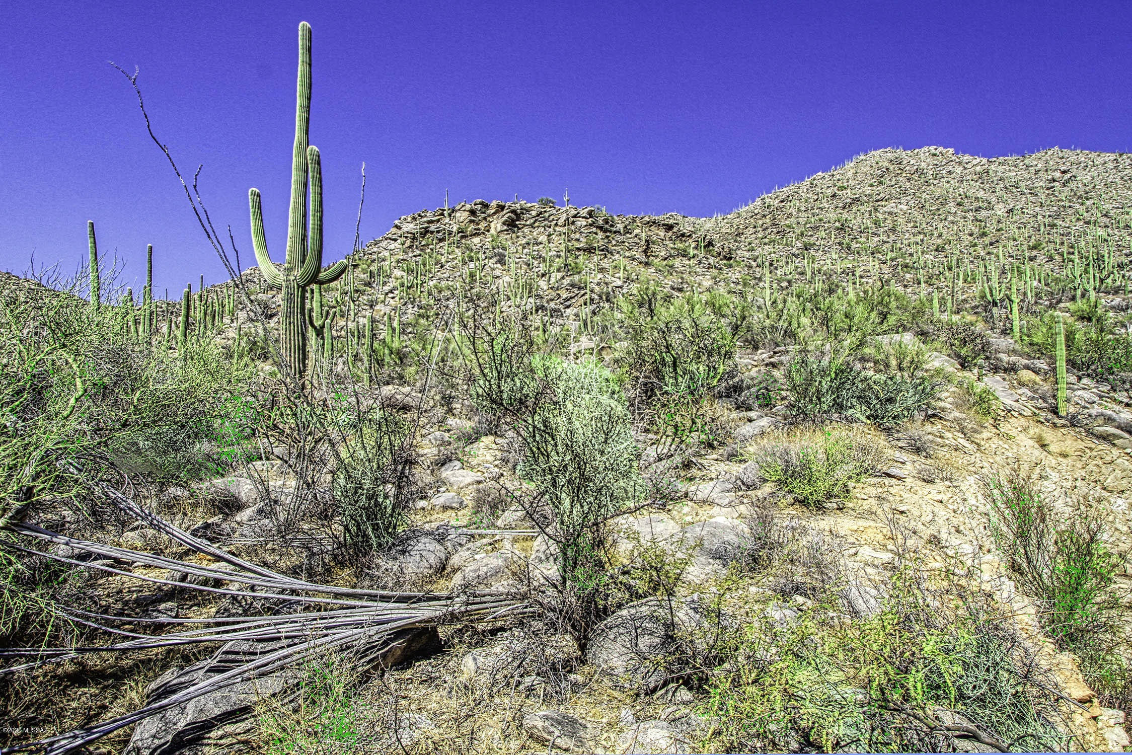 Canyon Pass At Dove Mountain - Land
