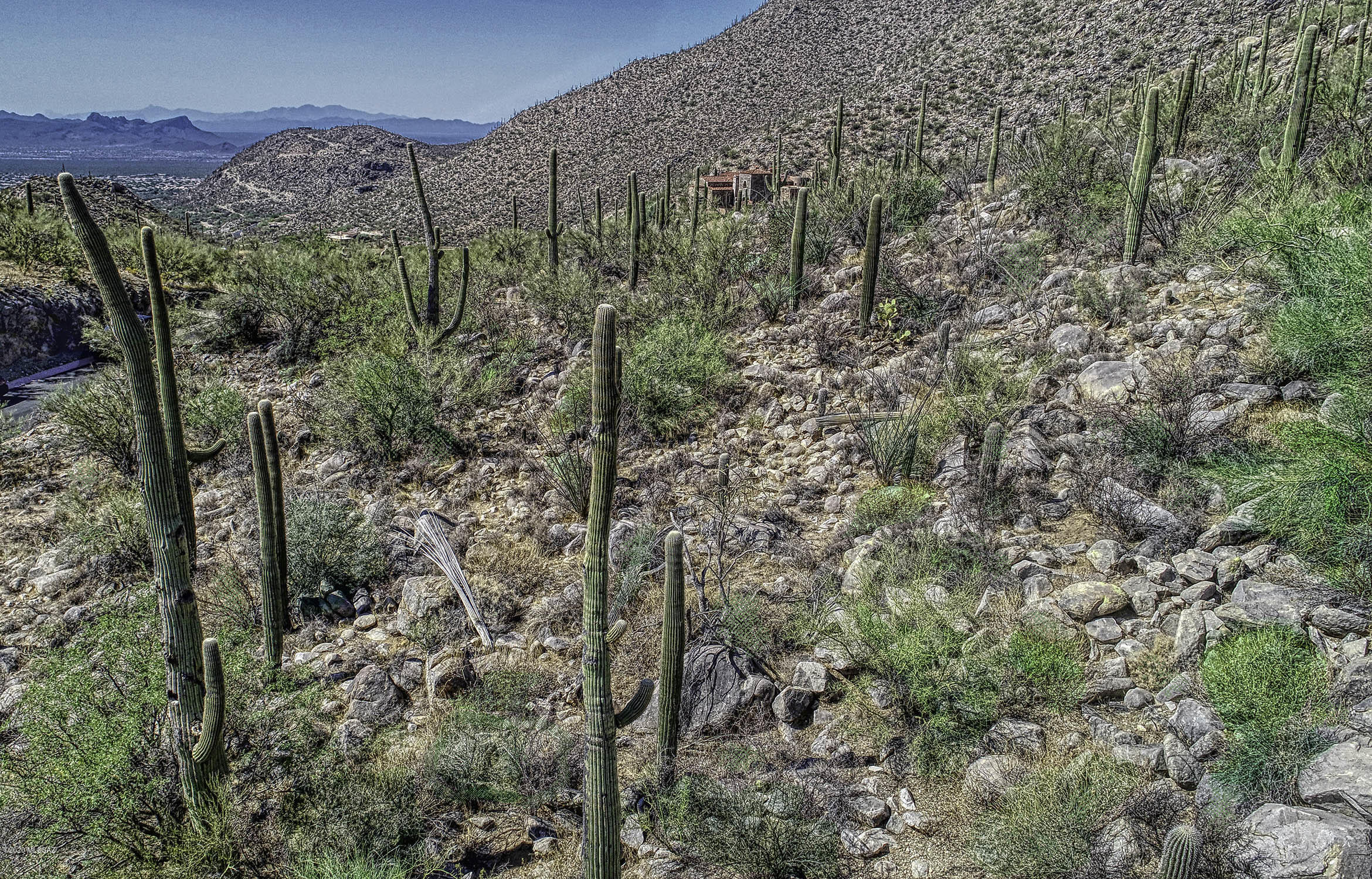 Canyon Pass At Dove Mountain - Land