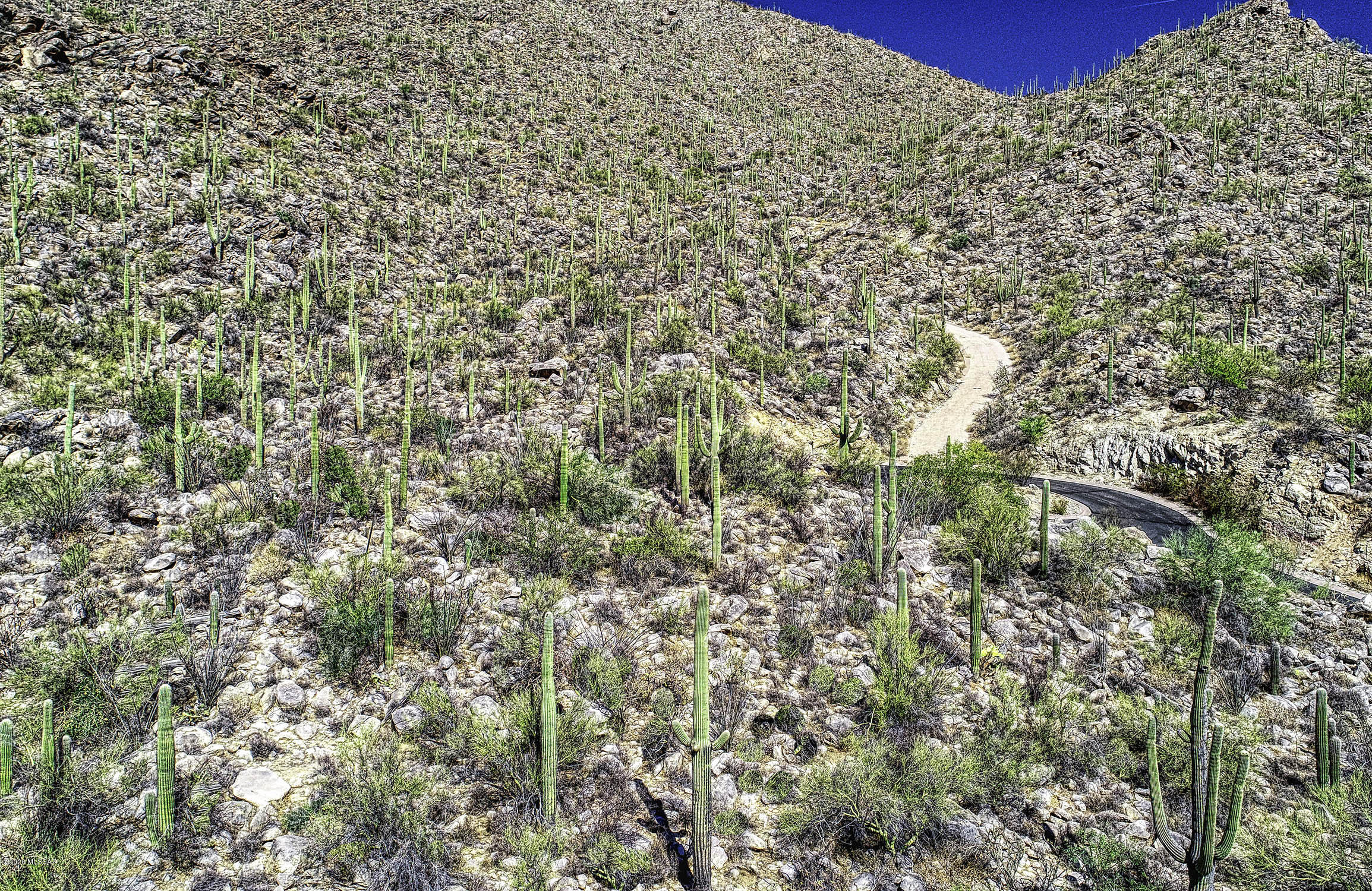 Canyon Pass At Dove Mountain - Land