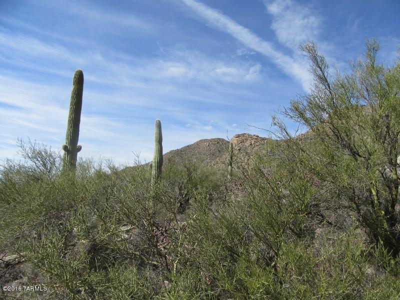 Canyon Pass At Dove Mountain - Land
