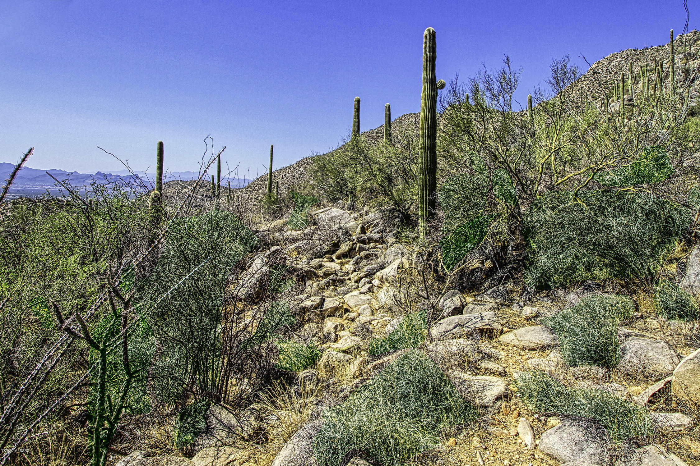 Canyon Pass At Dove Mountain - Land