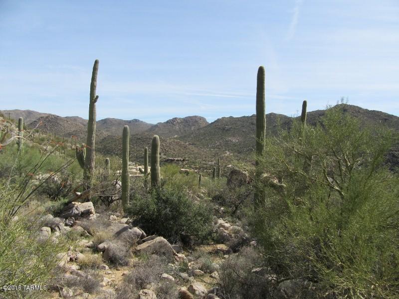 Canyon Pass At Dove Mountain - Land