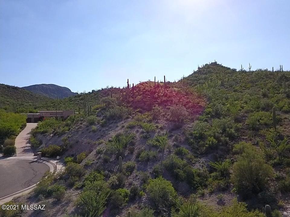 Wildcat Pass (1-61) - Land