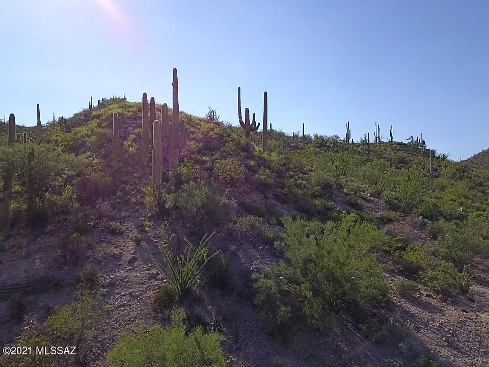 Wildcat Pass (1-61) - Land