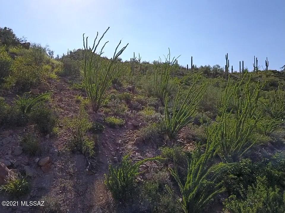 Wildcat Pass (1-61) - Land