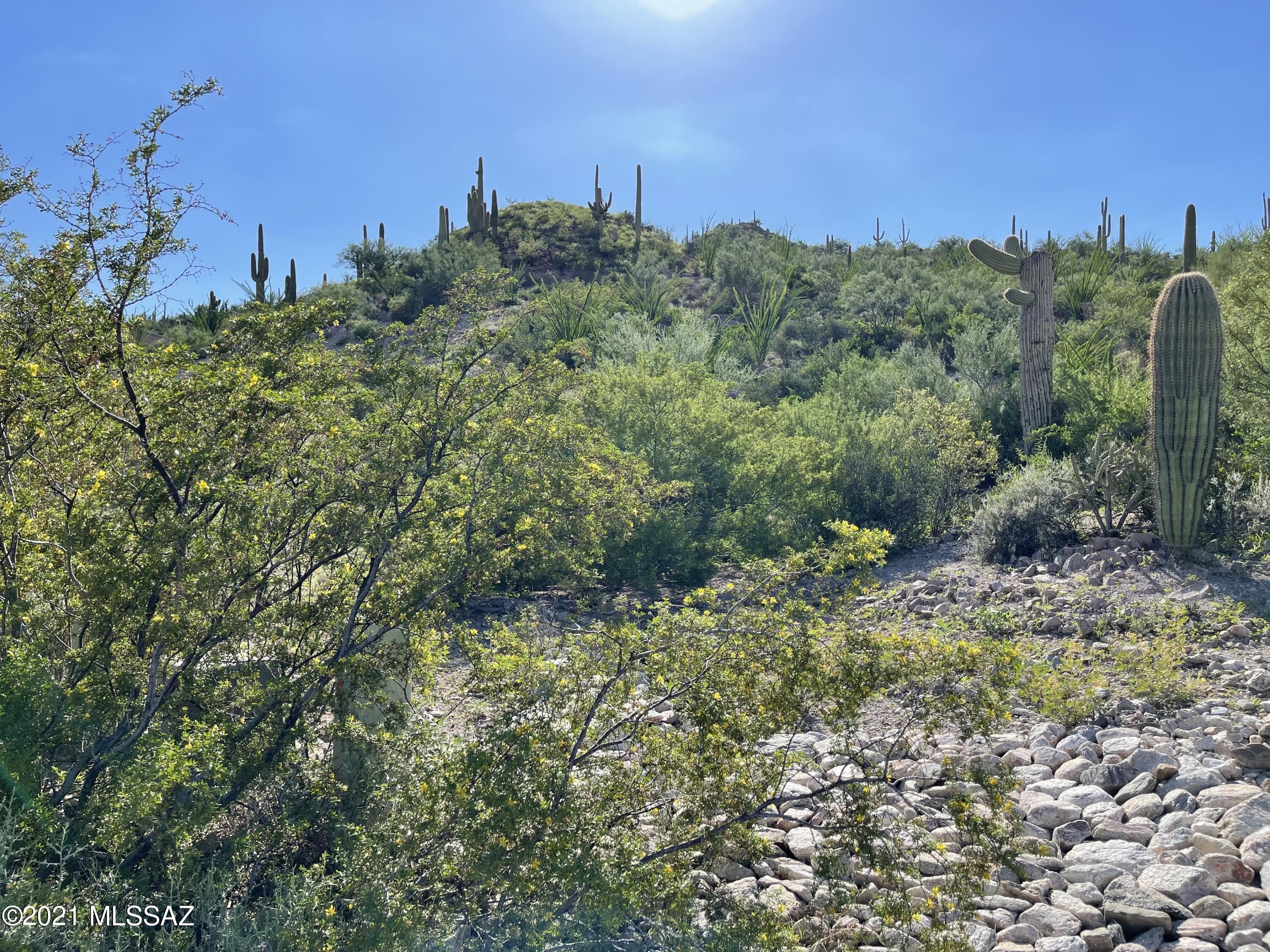 Wildcat Pass (1-61) - Land