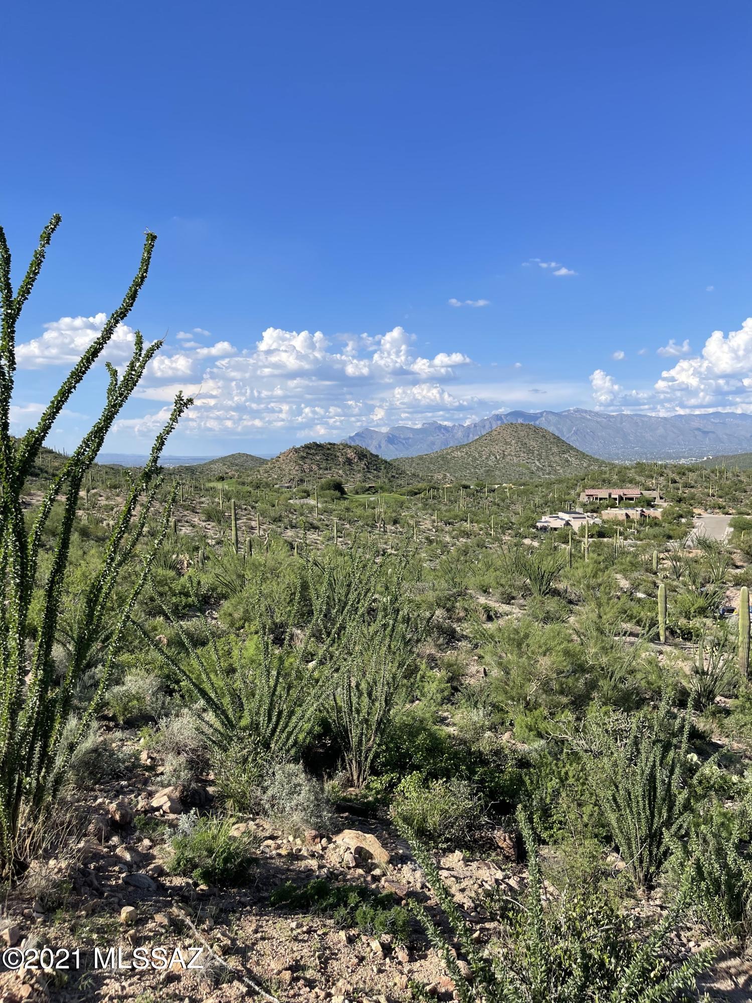 Wildcat Pass (1-61) - Land