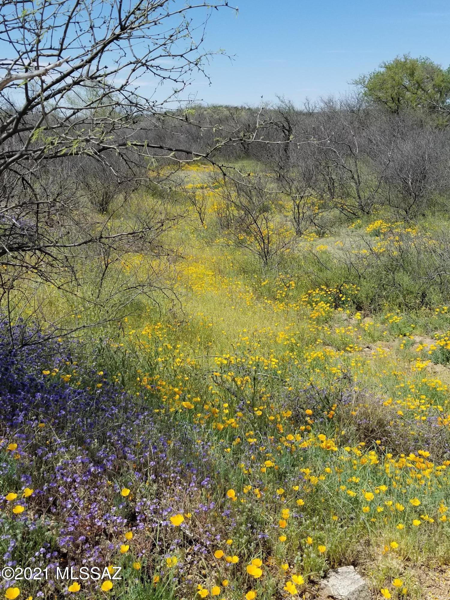 X9 Ranch - Land