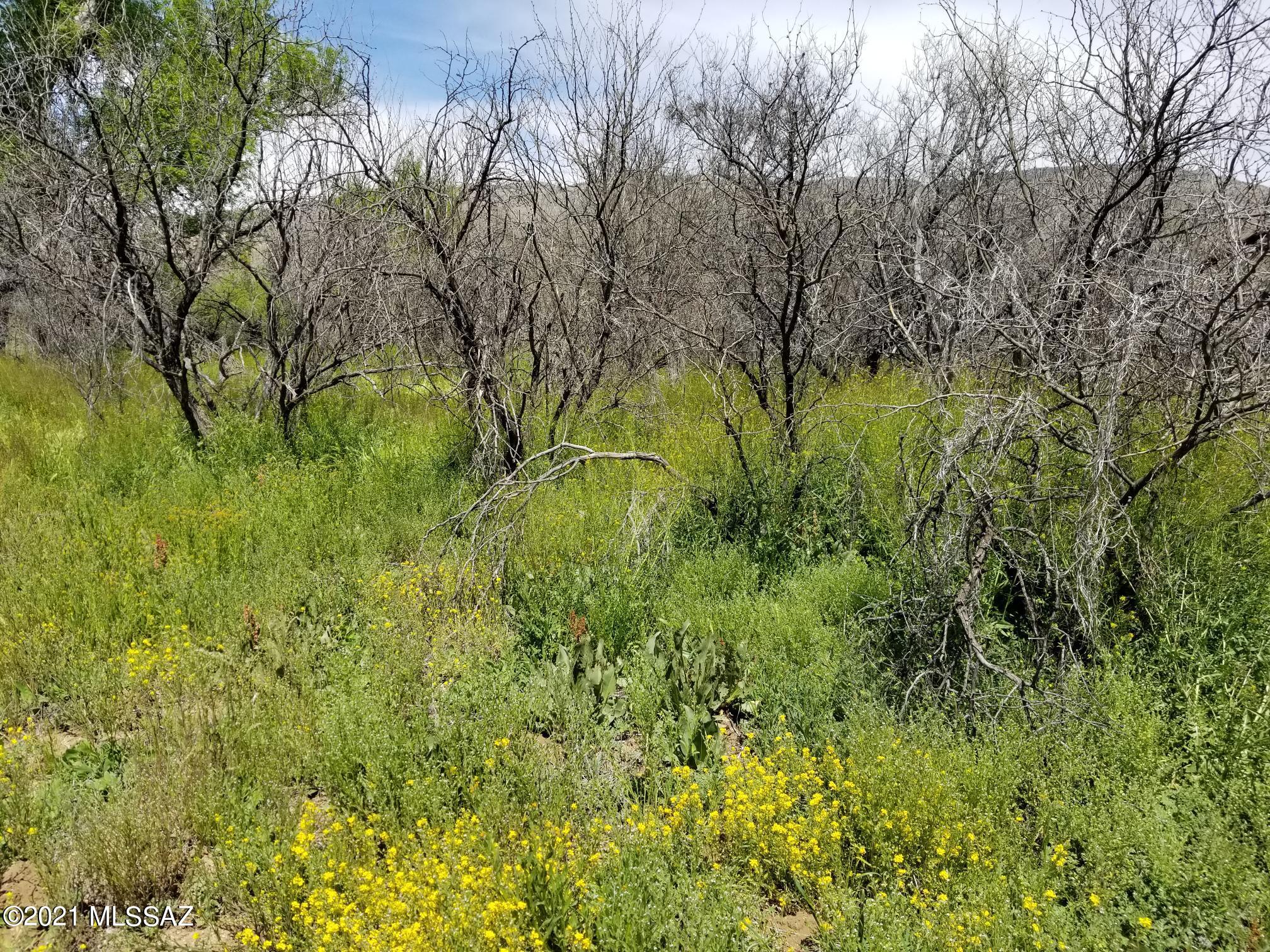 X9 Ranch - Land