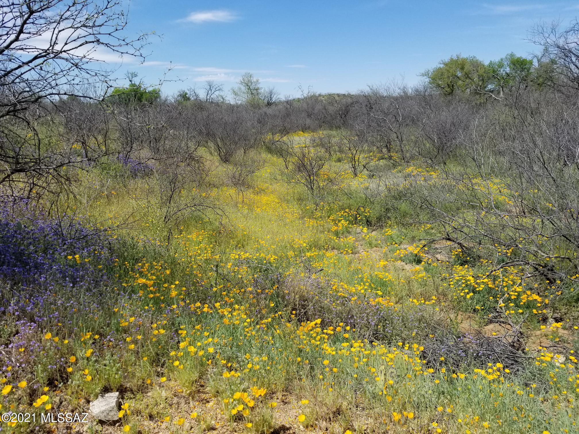 X9 Ranch - Land