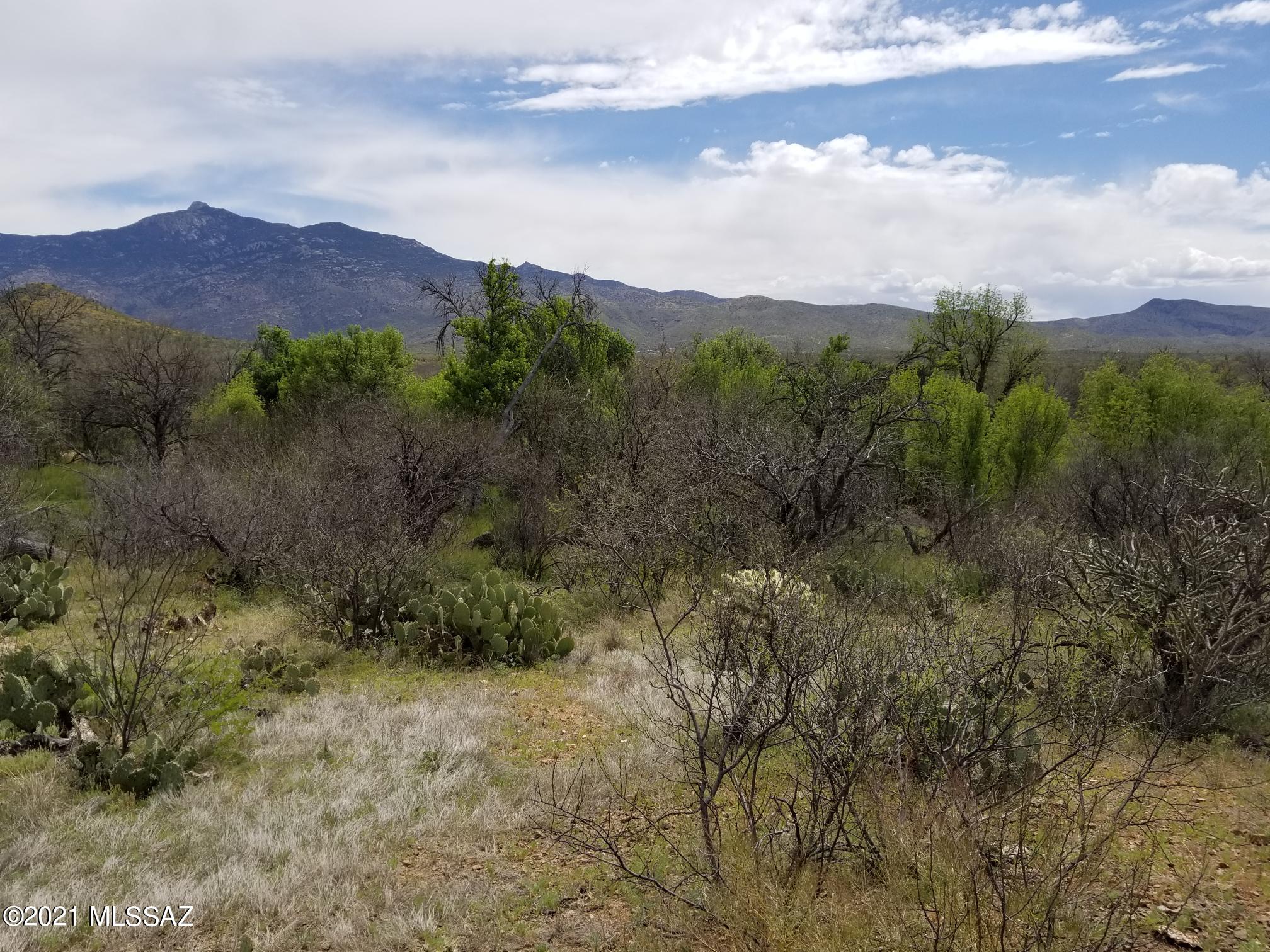 X9 Ranch - Land