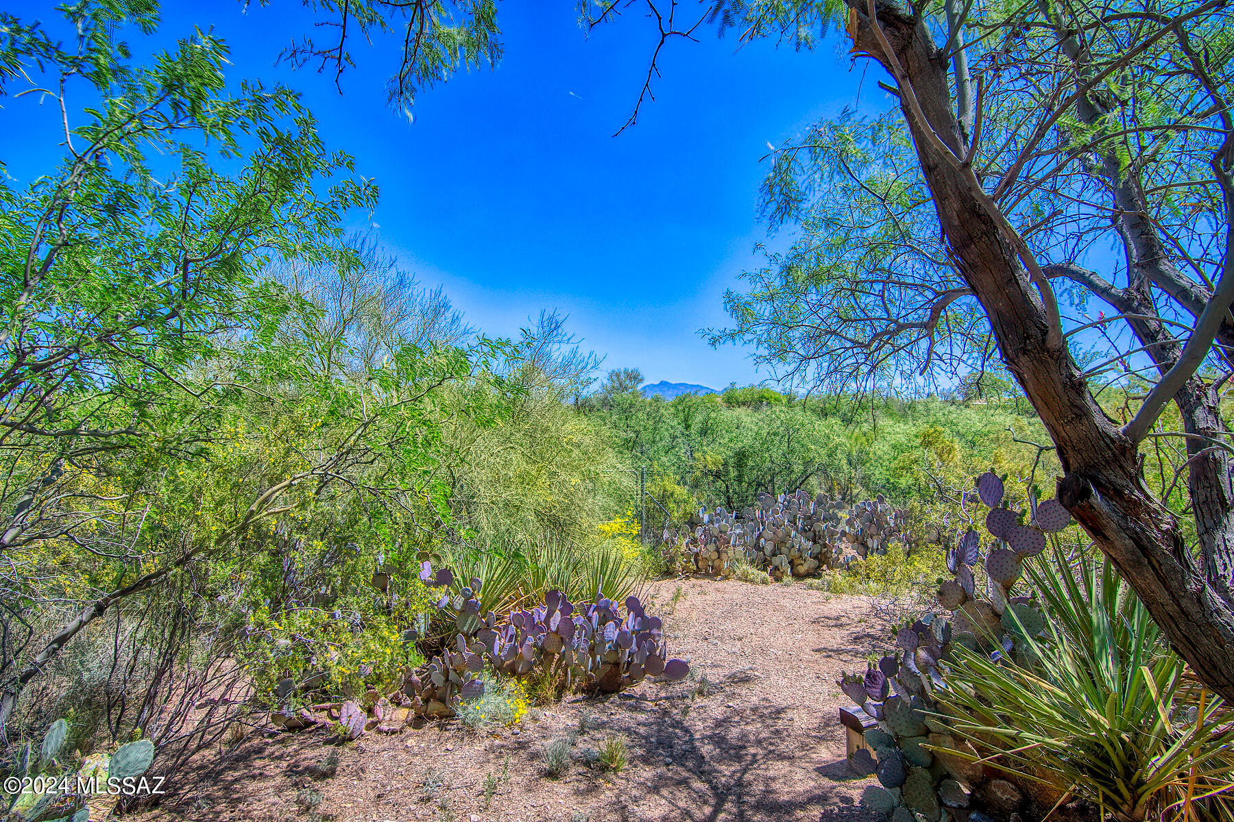 New Tucson Unit NO. 23 (140-261) - Residential