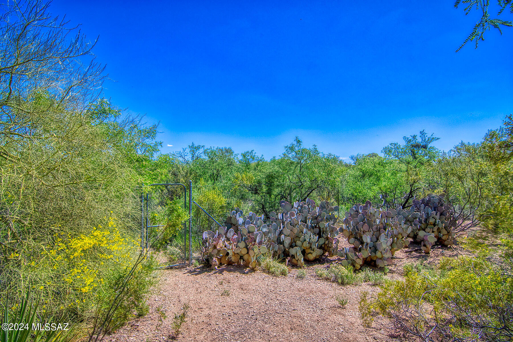 New Tucson Unit NO. 23 (140-261) - Residential
