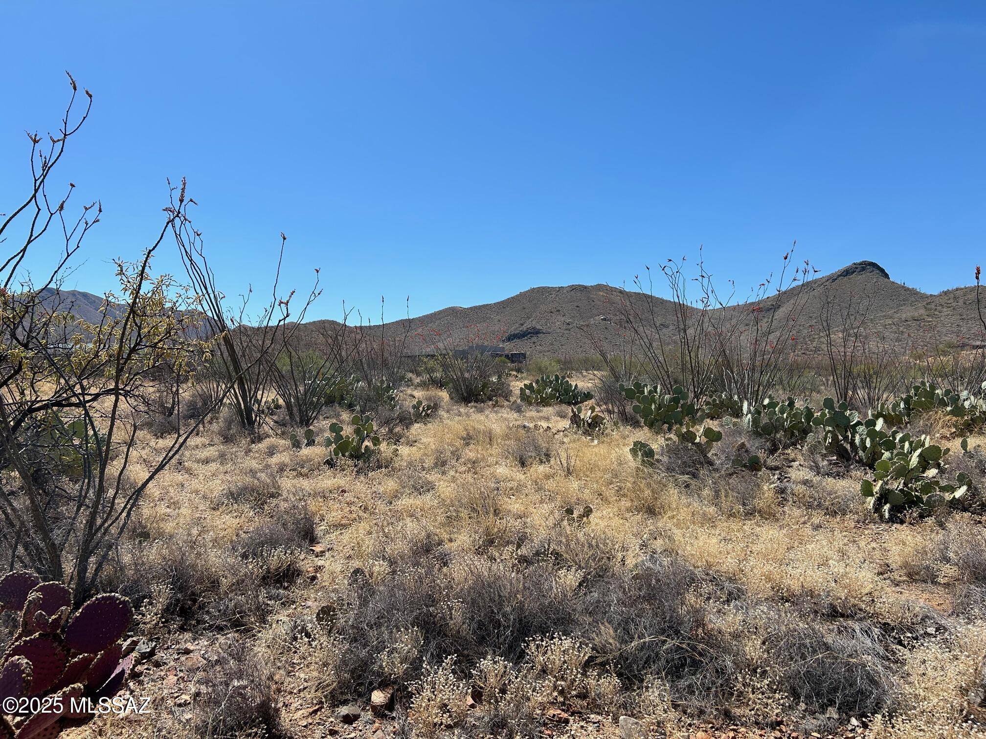 Ocotillo Preserve (1-42) - Land