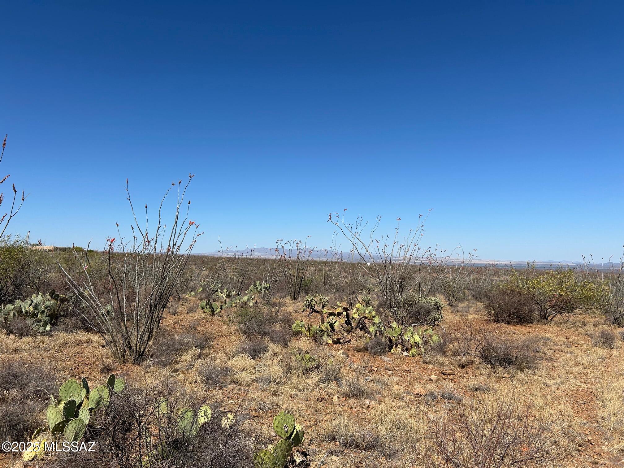 Ocotillo Preserve (1-42) - Land
