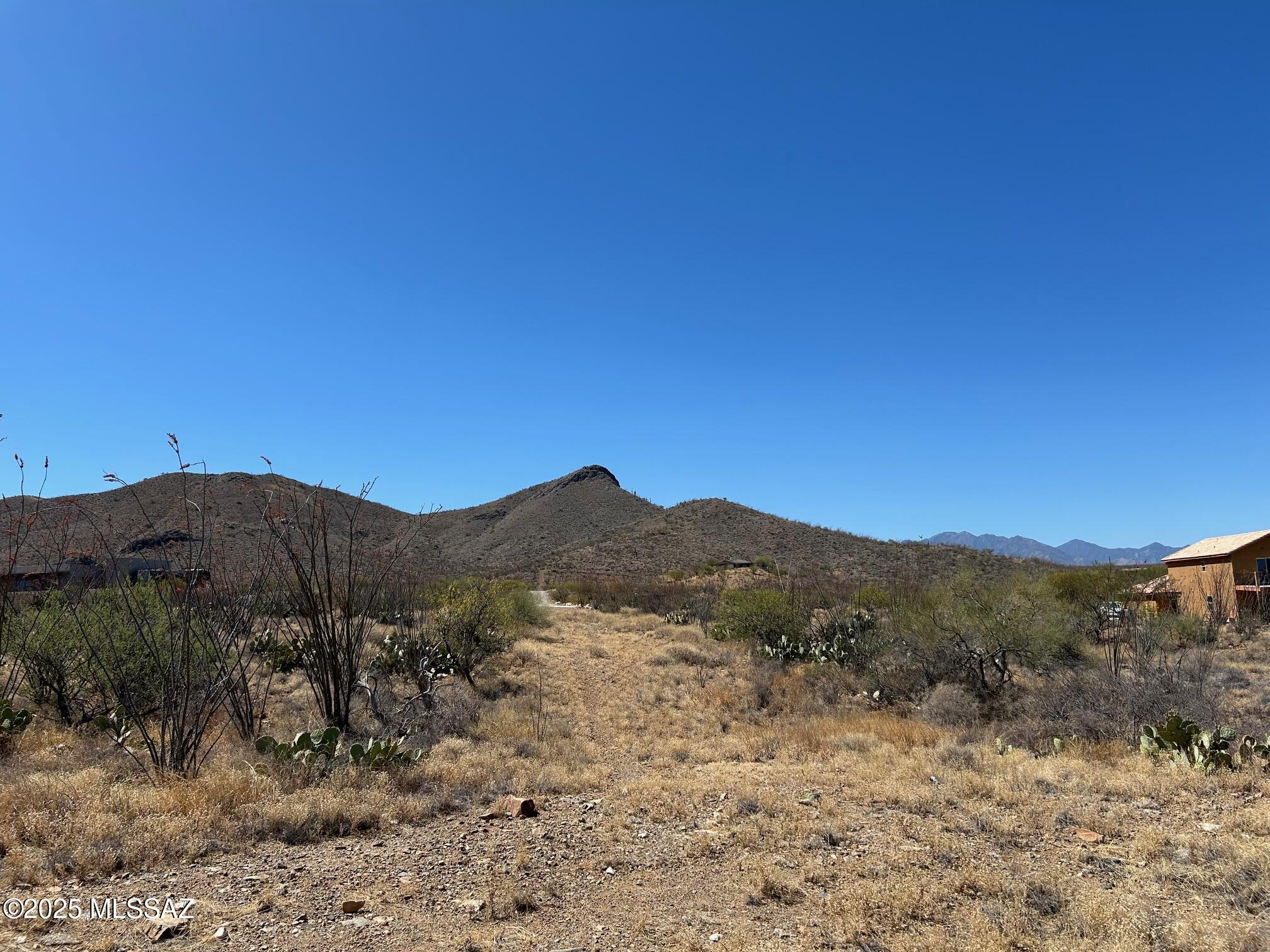 Ocotillo Preserve (1-42) - Land