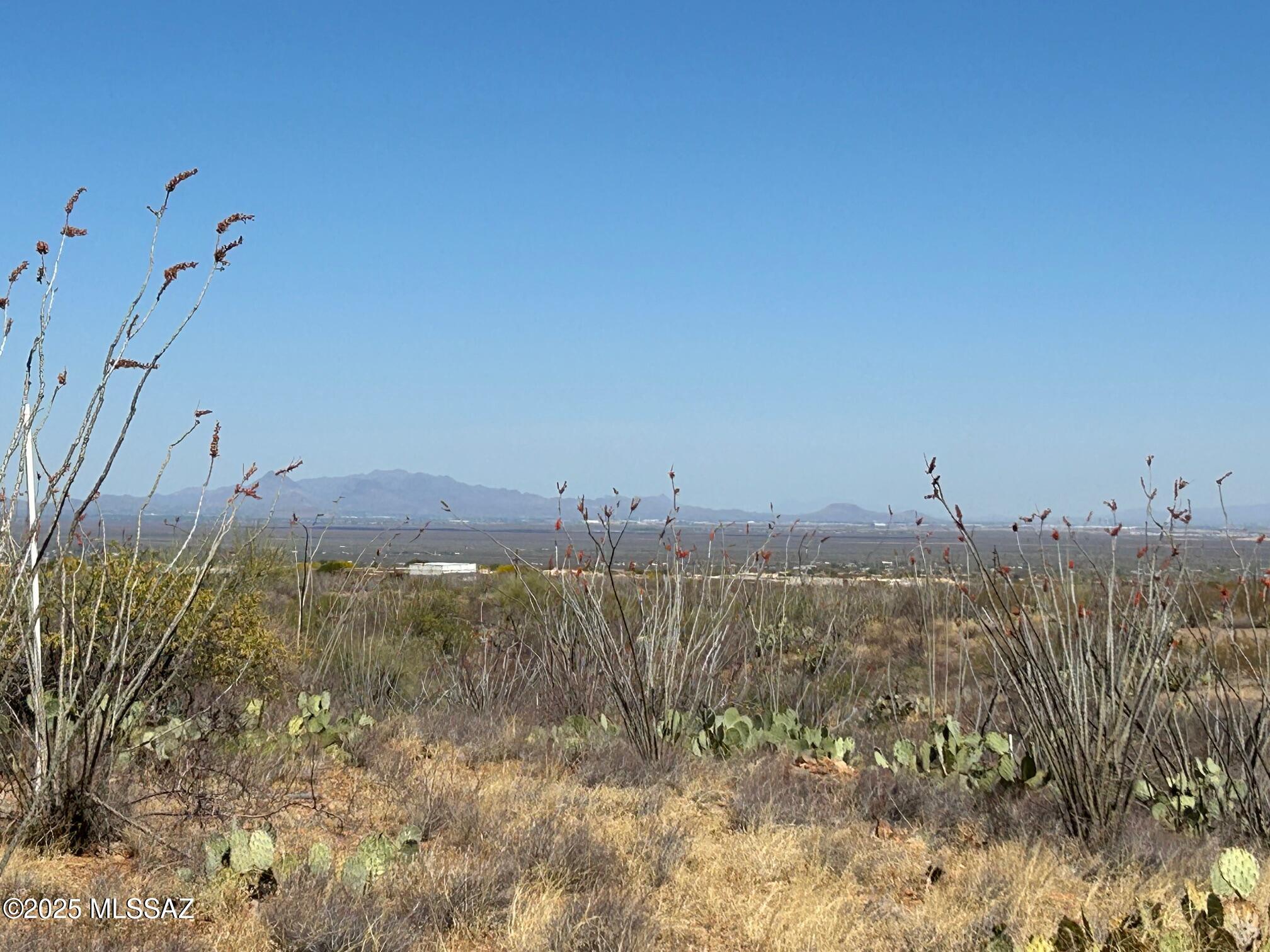 Ocotillo Preserve (1-42) - Land