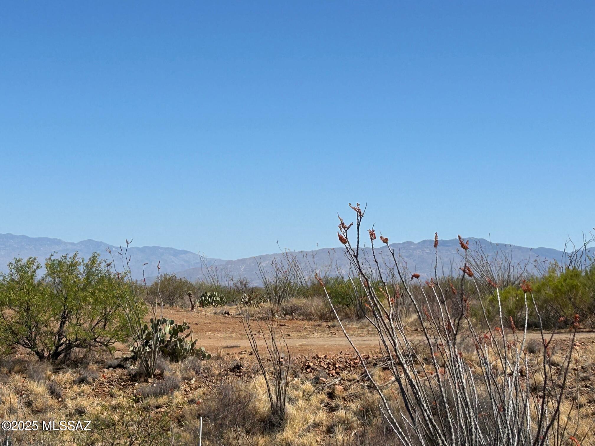 Ocotillo Preserve (1-42) - Land