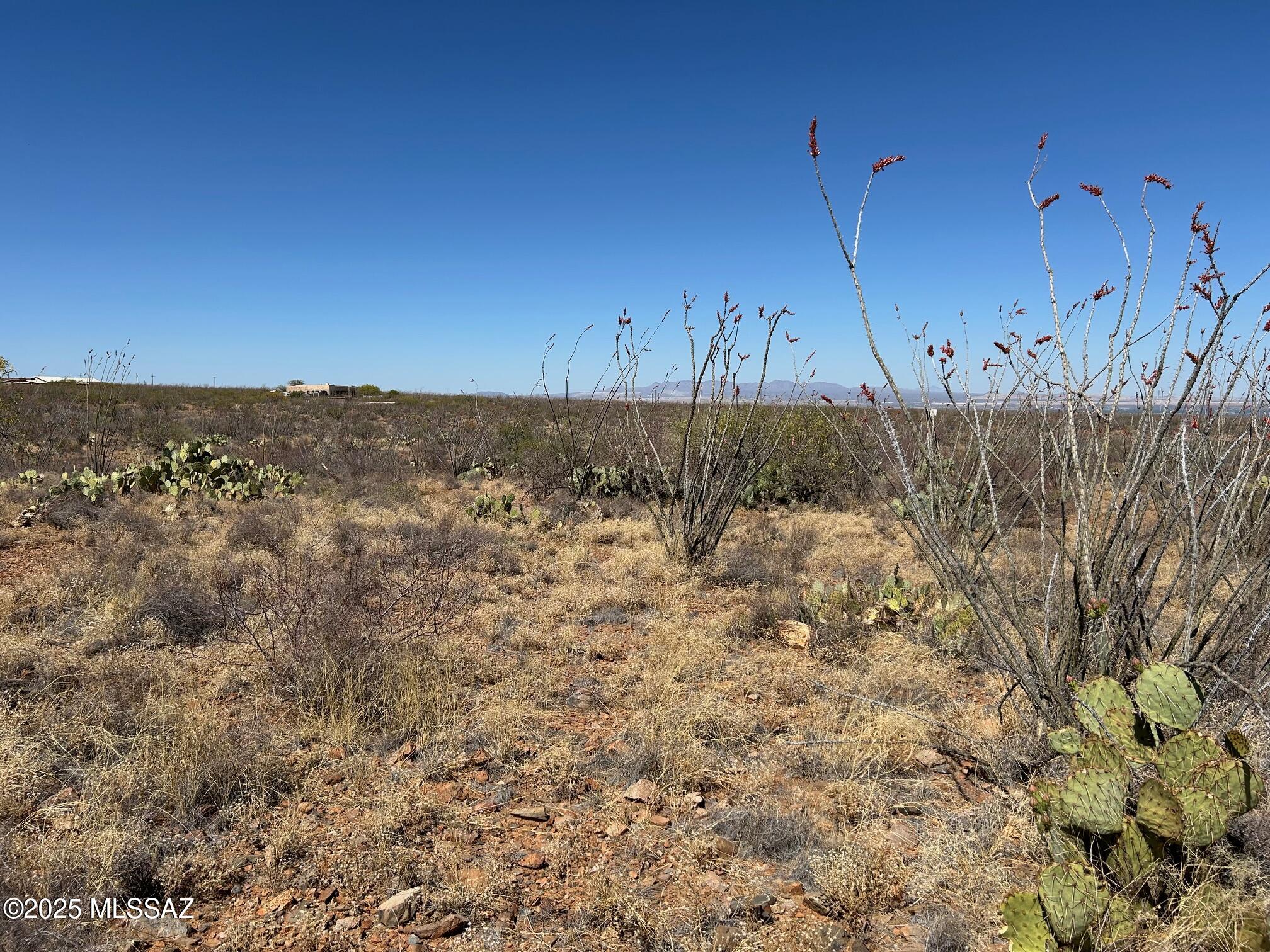 Ocotillo Preserve (1-42) - Land