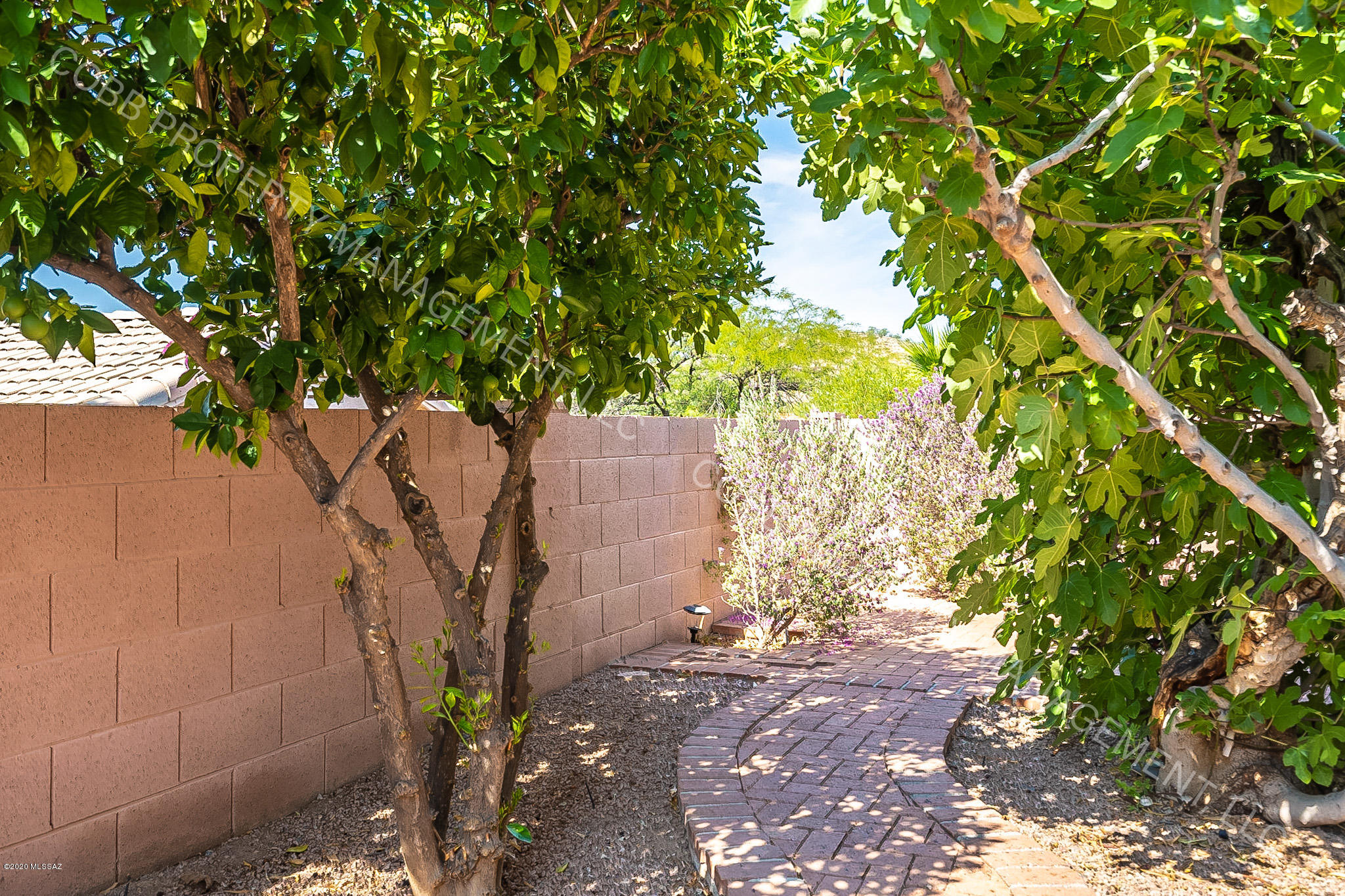 Ventana De Sabino (1-86) - Residential Lease