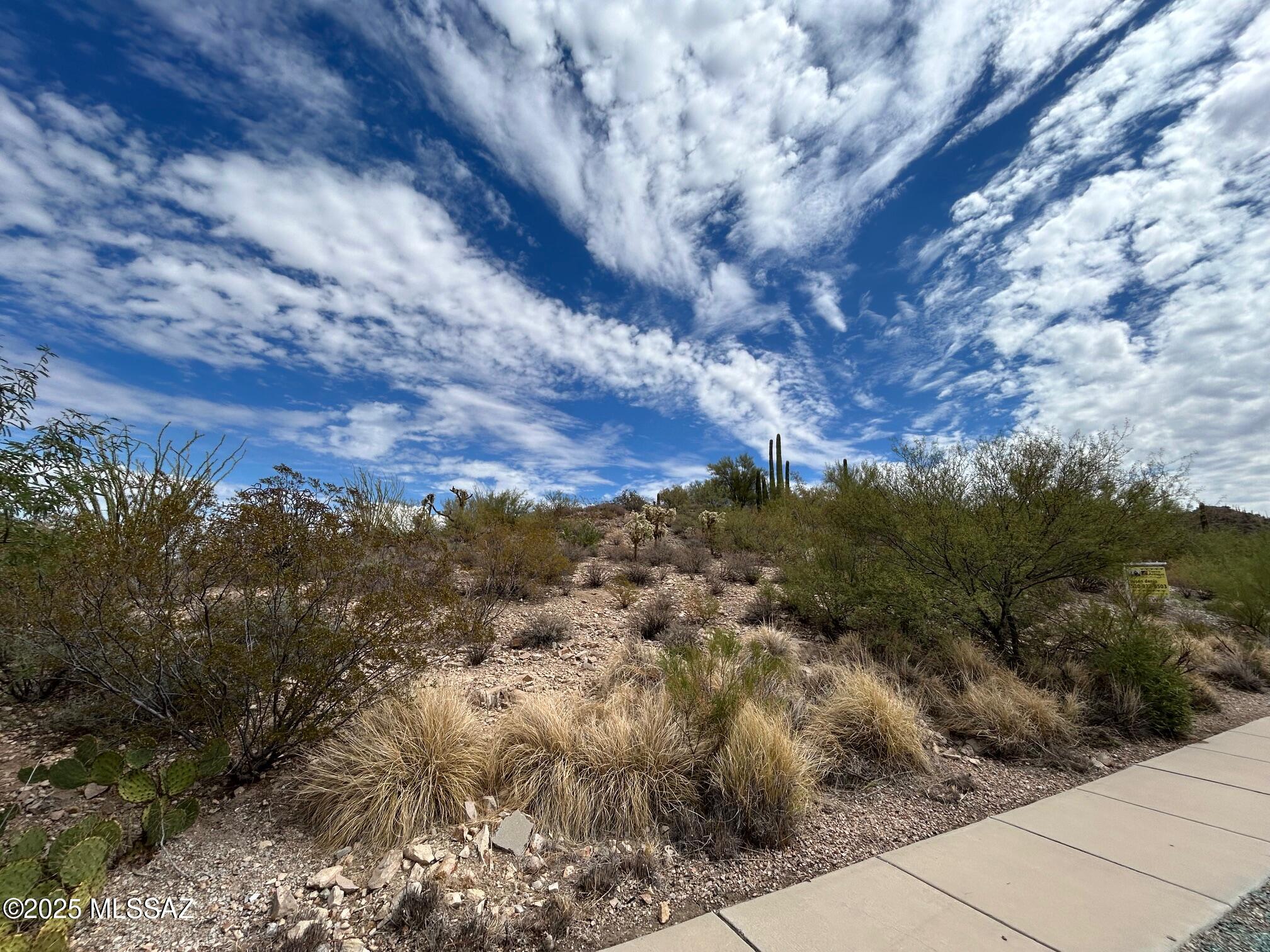 Coyote Pass Amended - Land